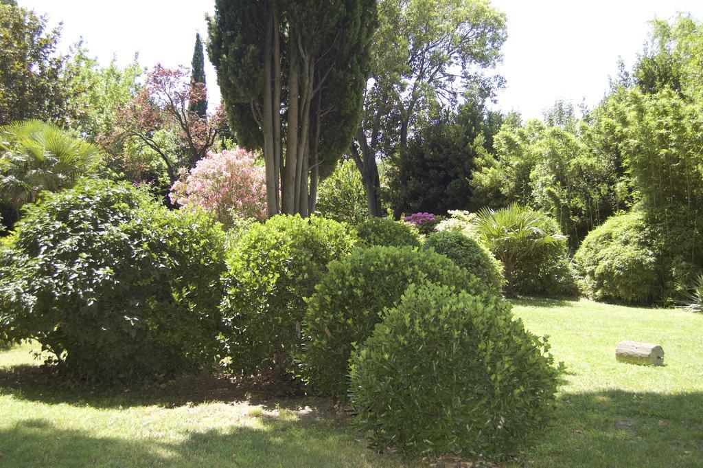 Le Mas Ferrand Graveson Exterior photo