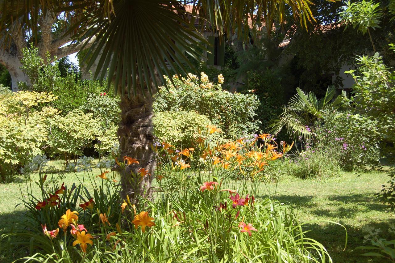 Le Mas Ferrand Graveson Exterior photo