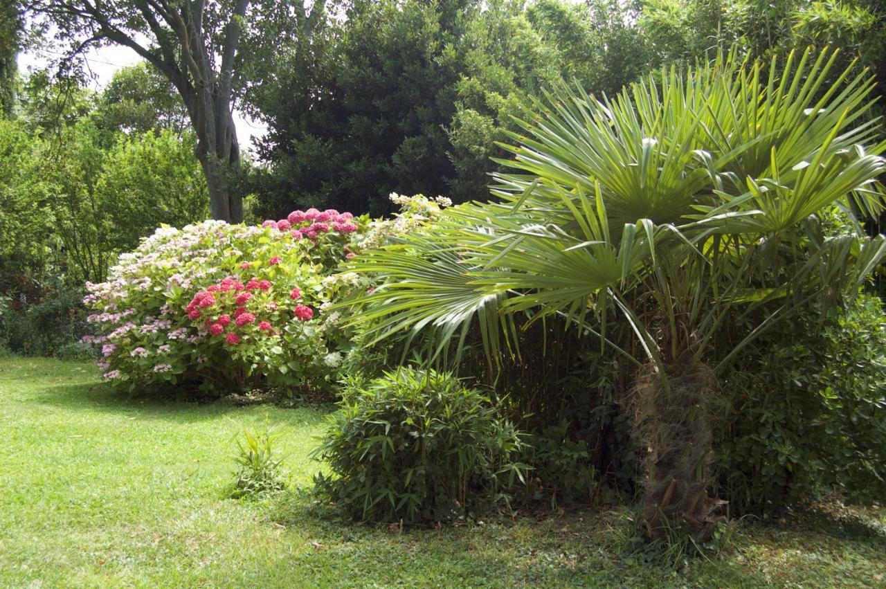 Le Mas Ferrand Graveson Exterior photo